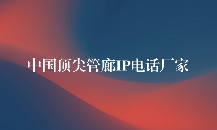 中國頂尖管廊IP電話廠家