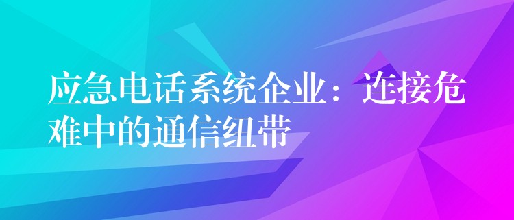  應急電話系統(tǒng)企業(yè)：連接危難中的通信紐帶