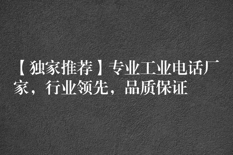  【獨(dú)家推薦】專業(yè)工業(yè)電話廠家，行業(yè)領(lǐng)先，品質(zhì)保證