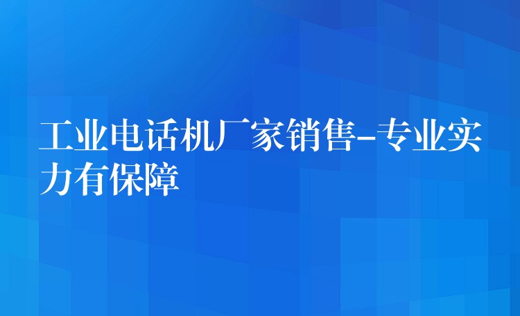 工業(yè)電話機廠家銷售-專業(yè)實力有保障 工業(yè)電話機廠家銷售-專業(yè)實力有保障